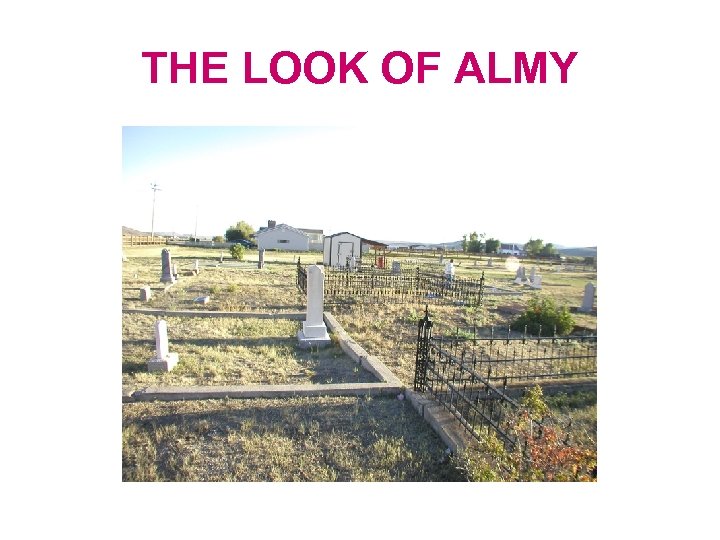 THE LOOK OF ALMY 