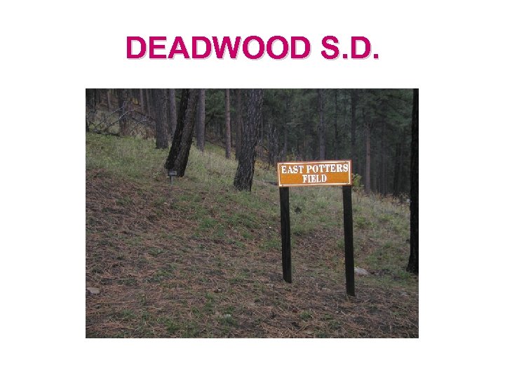 DEADWOOD S. D. 