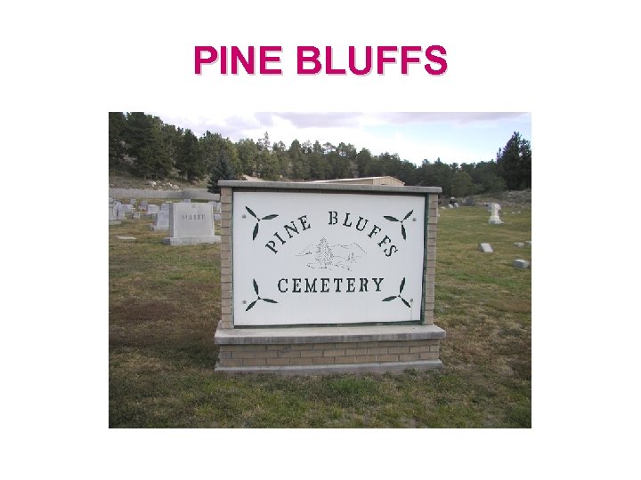 PINE BLUFFS 