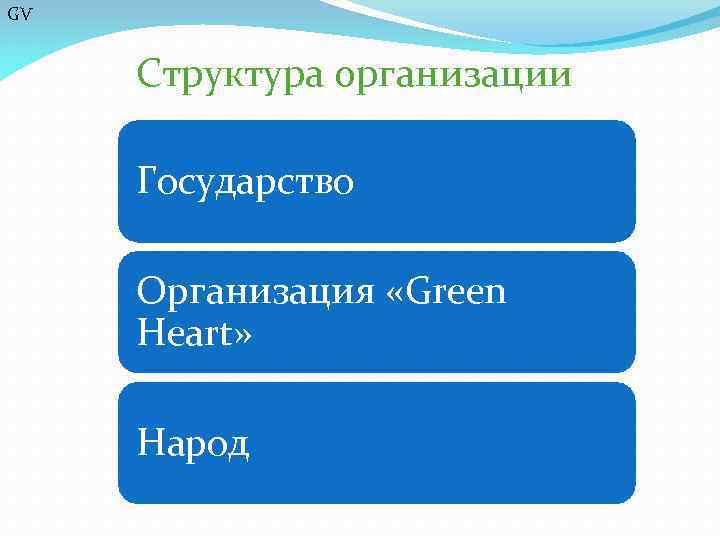 GV Структура организации Государство Организация «Green Heart» Народ 