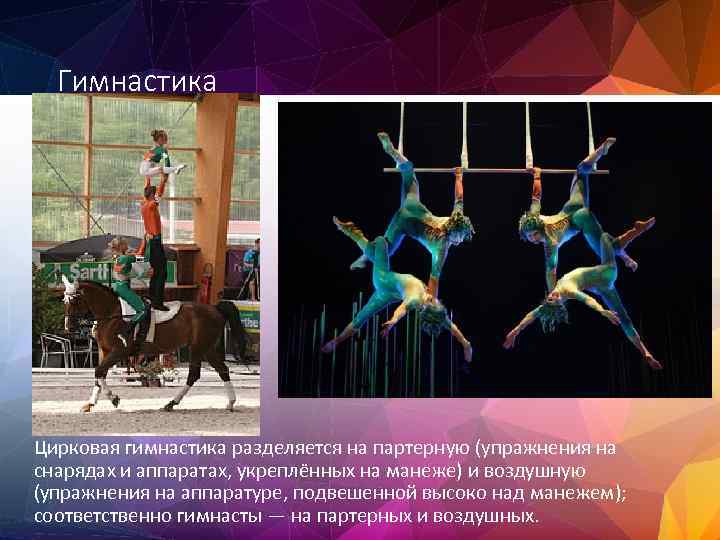 Гимнастика Цирковая гимнастика разделяется на партерную (упражнения на снарядах и аппаратах, укреплённых на манеже)