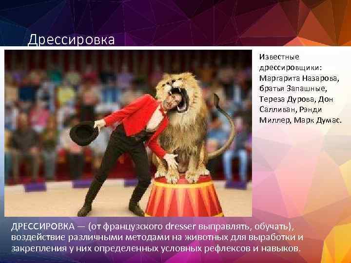 Дрессировка Известные дрессировщики: Маргарита Назарова, братья Запашные, Тереза Дурова, Дон Салливан, Рэнди Миллер, Марк