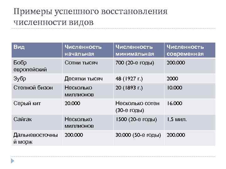 Примеры успешного восстановления численности видов Вид Численность начальная Численность минимальная Численность современная Бобр европейский