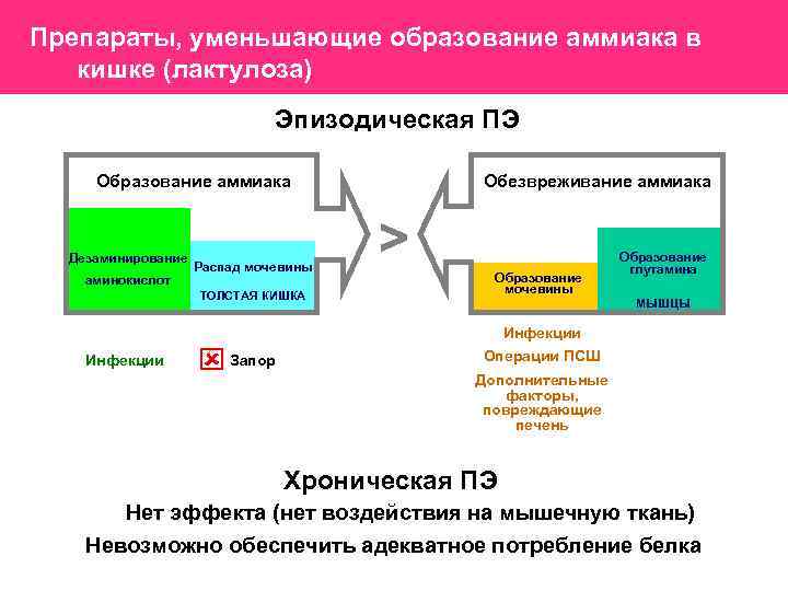 Препараты, уменьшающие образование аммиака в кишке (лактулоза) Эпизодическая ПЭ Образование аммиака Дезаминирование аминокислот Распад