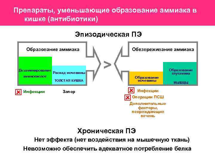  Препараты, уменьшающие образование аммиака в кишке (антибиотики) Эпизодическая ПЭ Образование аммиака Дезаминирование аминокислот