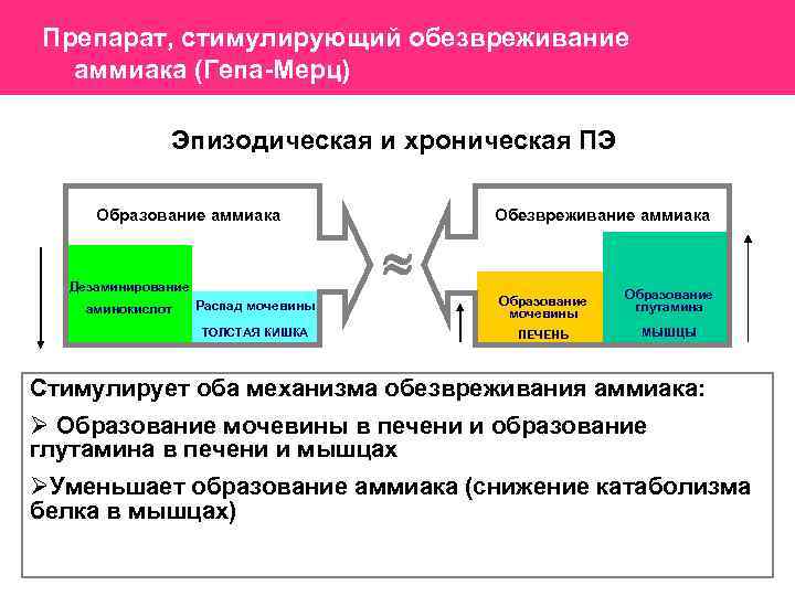 Препарат, стимулирующий обезвреживание аммиака (Гепа-Мерц) Эпизодическая и хроническая ПЭ Образование аммиака Обезвреживание аммиака Дезаминирование