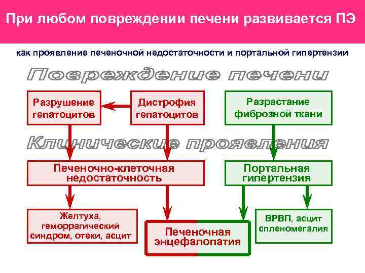 При любом повреждении печени развивается ПЭ как проявление печеночной недостаточности и портальной гипертензии Разрушение