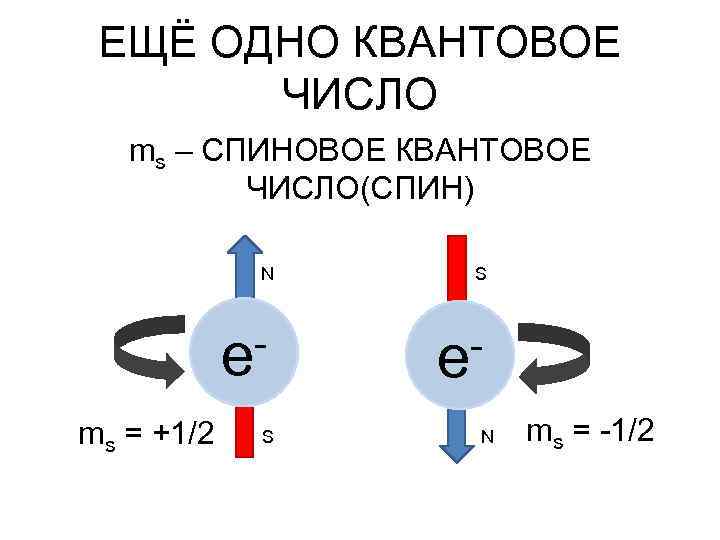 ЕЩЁ ОДНО КВАНТОВОЕ ЧИСЛО ms – СПИНОВОЕ КВАНТОВОЕ ЧИСЛО(СПИН) N e ms = +1/2