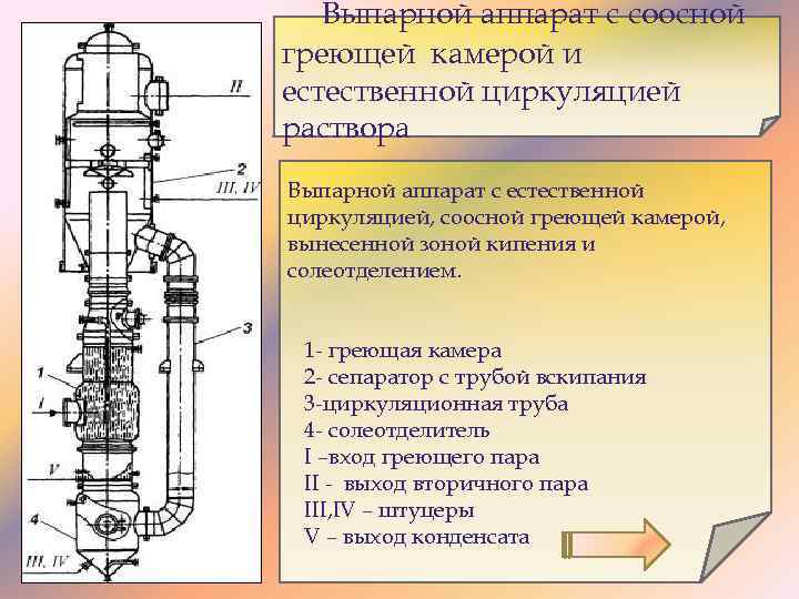 Аппарат выпарной с естественной циркуляцией и вынесенной греющей камерой чертеж общего вида