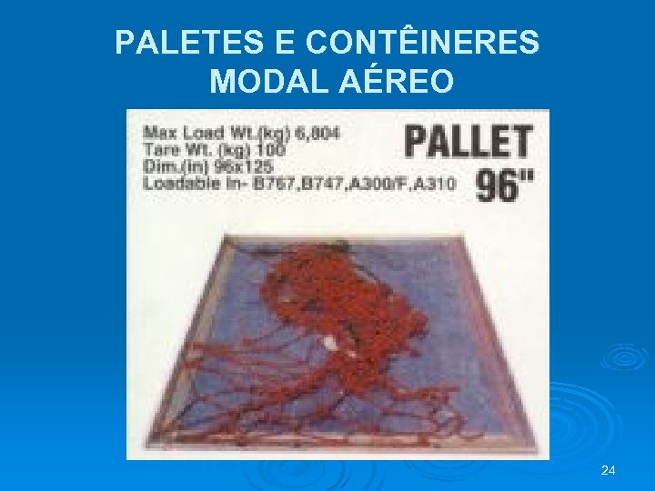 PALETES E CONTÊINERES MODAL AÉREO 24 