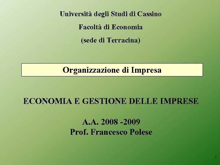 Università degli Studi di Cassino Facoltà di Economia (sede di Terracina) Organizzazione di Impresa
