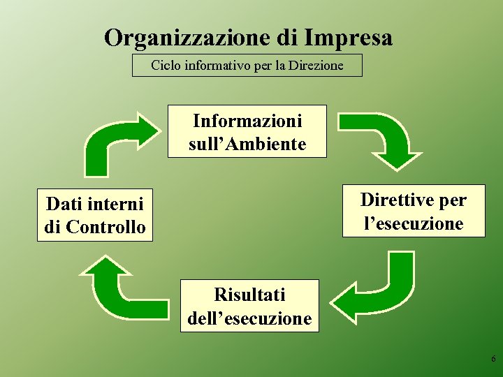Organizzazione di Impresa Ciclo informativo per la Direzione Informazioni sull’Ambiente Direttive per l’esecuzione Dati