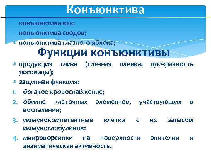 Конъюнктива конъюнктива век; конъюнктива сводов; конъюнктива глазного яблока; Функции конъюнктивы продукция слизи (слезная пленка,