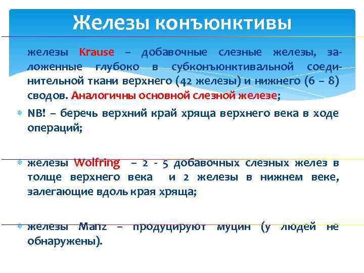 Железы конъюнктивы железы Krause – добавочные слезные железы, заложенные глубоко в субконъюнктивальной соединительной ткани