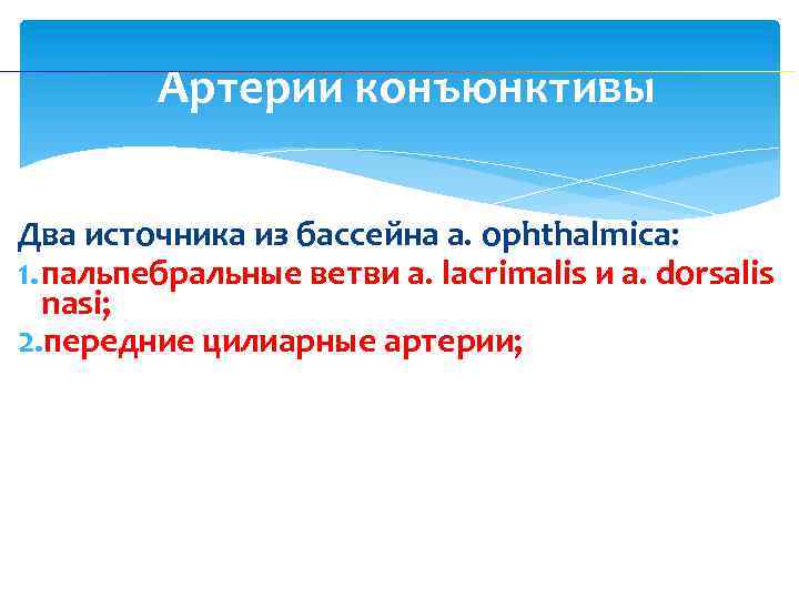 Артерии конъюнктивы Два источника из бассейна а. ophthalmicа: 1. пальпебральные ветви a. lacrimalis и