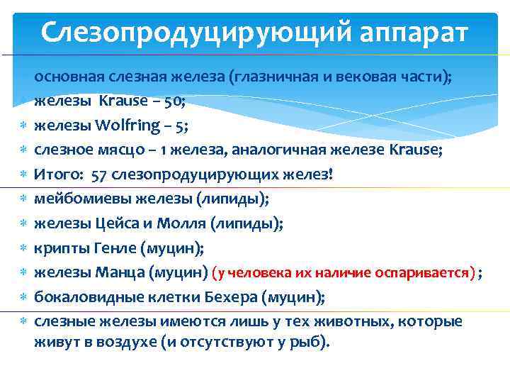 Слезопродуцирующий аппарат основная слезная железа (глазничная и вековая части); железы Krause – 50; железы