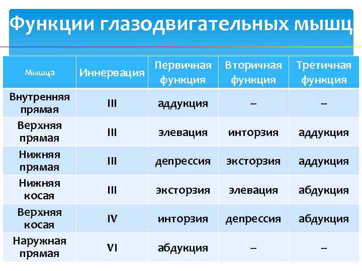 Функции глазодвигательных мышц Мышца Внутренняя прямая Верхняя прямая Нижняя косая Верхняя косая Наружная прямая