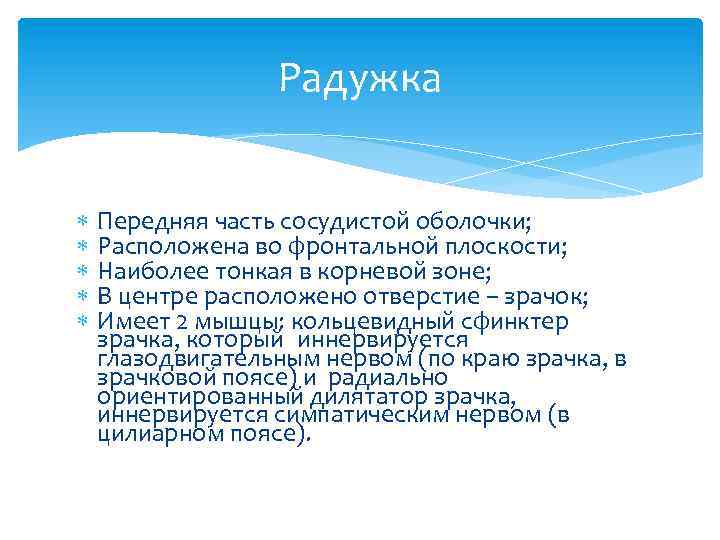 Радужка Передняя часть сосудистой оболочки; Расположена во фронтальной плоскости; Наиболее тонкая в корневой зоне;
