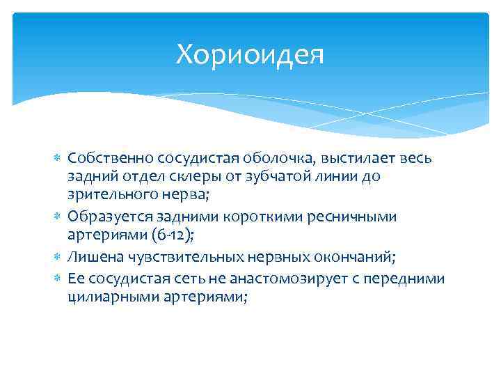 Хориоидея Собственно сосудистая оболочка, выстилает весь задний отдел склеры от зубчатой линии до зрительного