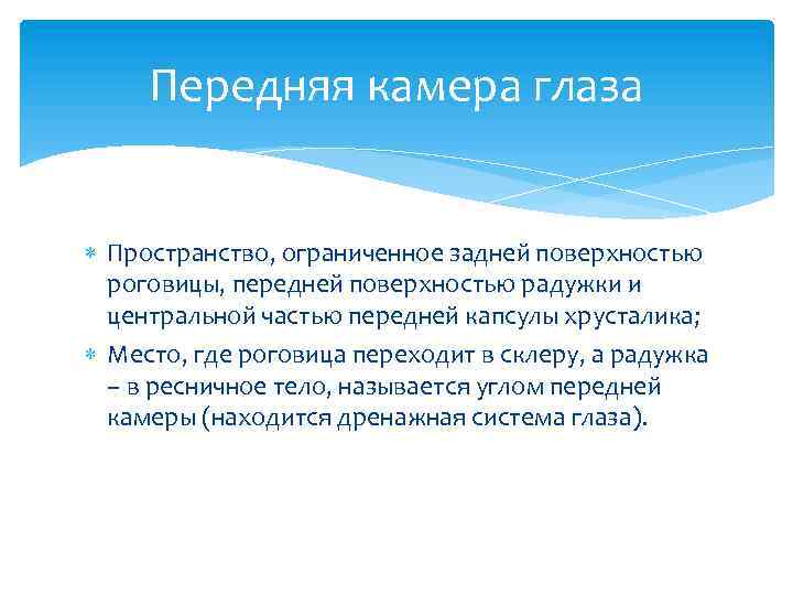 Передняя камера глаза Пространство, ограниченное задней поверхностью роговицы, передней поверхностью радужки и центральной частью