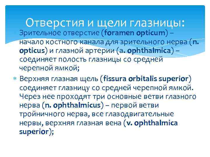 Отверстия и щели глазницы: Зрительное отверстие (foramen opticum) – начало костного канала для зрительного