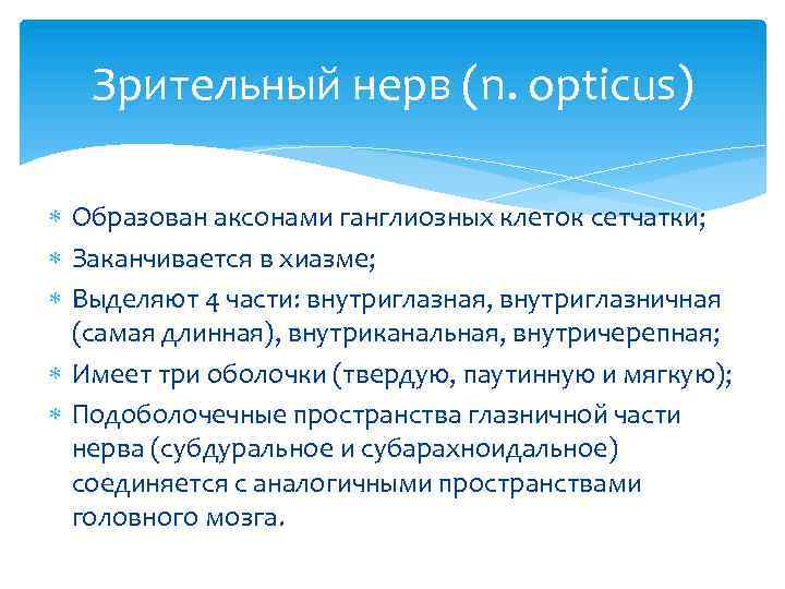 Зрительный нерв (n. opticus) Образован аксонами ганглиозных клеток сетчатки; Заканчивается в хиазме; Выделяют 4