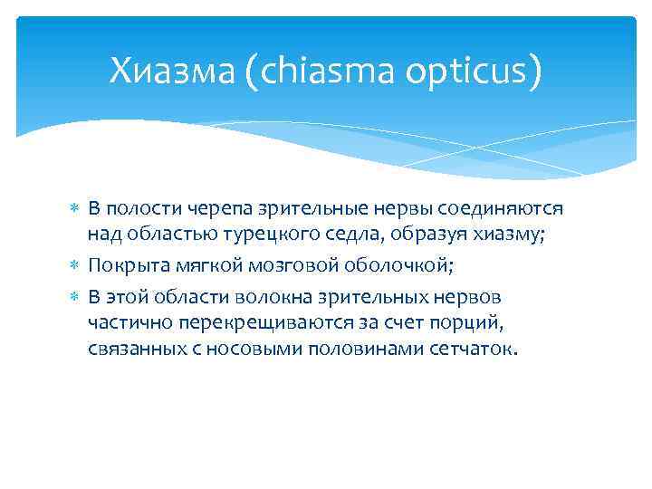 Хиазма (chiasma opticus) В полости черепа зрительные нервы соединяются над областью турецкого седла, образуя