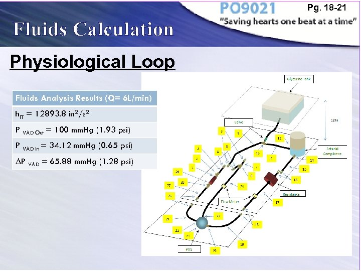 Pg. 18 -21 Fluids Calculation Physiological Loop Fluids Analysis Results (Q= 6 L/min) hl.