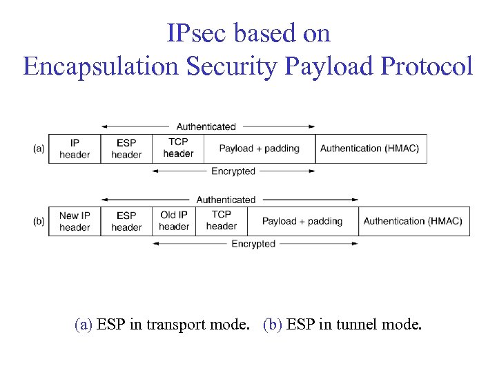 IPsec based on Encapsulation Security Payload Protocol (a) ESP in transport mode. (b) ESP