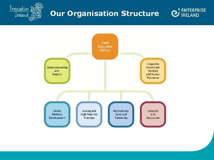 Our Organisation Structure 
