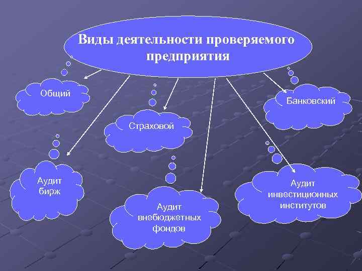 Виды деятельности проверяемого предприятия Общий Банковский Страховой Аудит бирж Аудит внебюджетных фондов Аудит инвестиционных