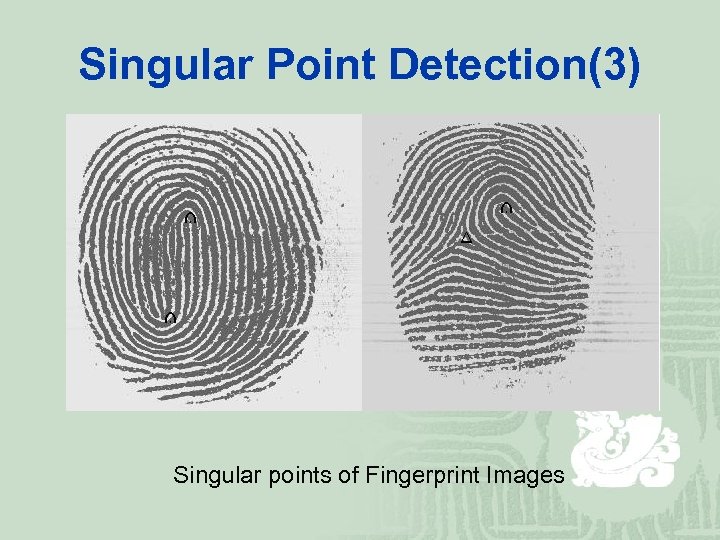 Singular Point Detection(3) Singular points of Fingerprint Images 