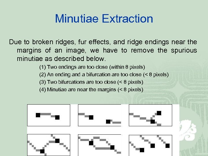 Minutiae Extraction Due to broken ridges, fur effects, and ridge endings near the margins