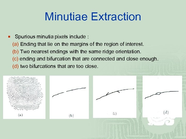 Minutiae Extraction ¡ Spurious minutia pixels include : (a) Ending that lie on the