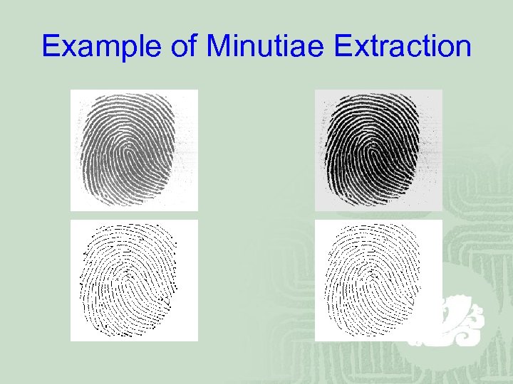 Example of Minutiae Extraction 