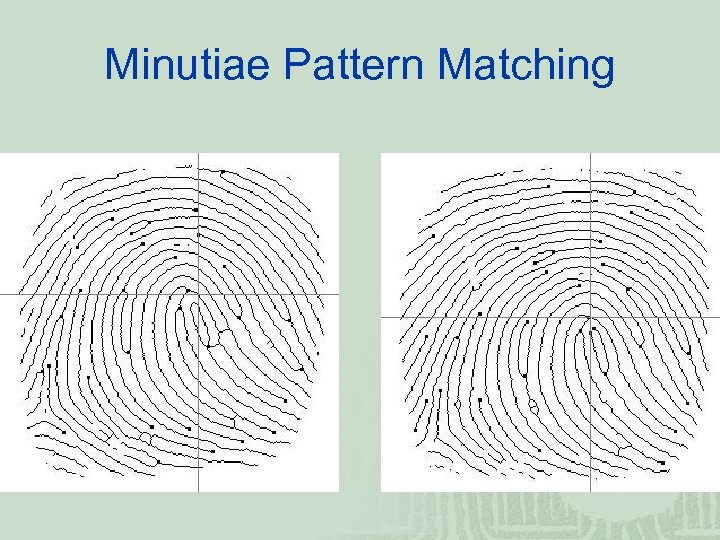 Minutiae Pattern Matching 