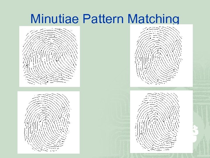 Minutiae Pattern Matching 