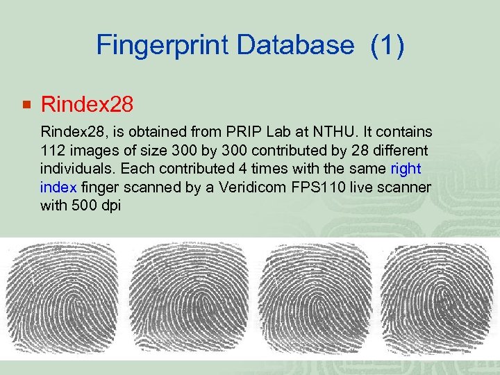 Fingerprint Database (1) ¡ Rindex 28, is obtained from PRIP Lab at NTHU. It