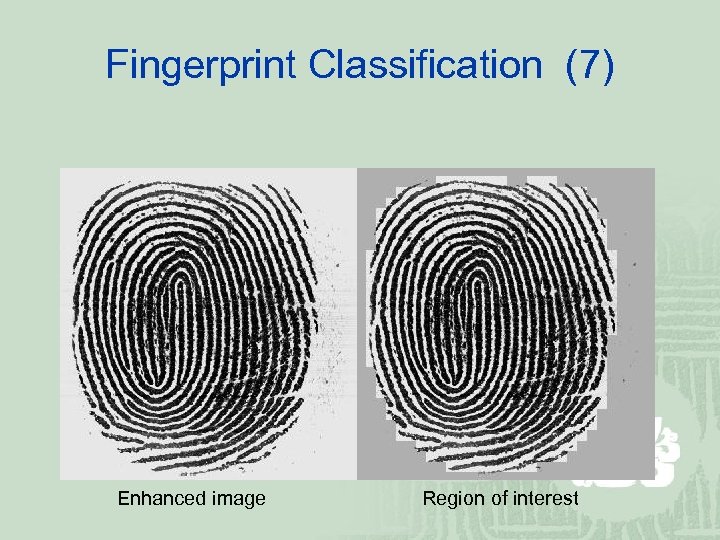 Fingerprint Classification (7) Enhanced image Region of interest 