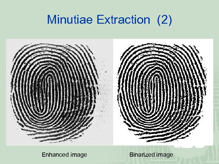 Minutiae Extraction (2) Enhanced image Binarized image 