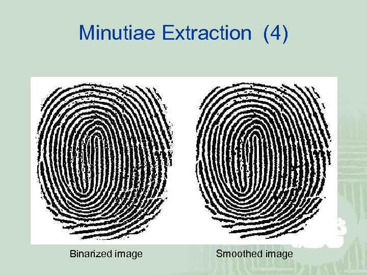 Minutiae Extraction (4) Binarized image Smoothed image 