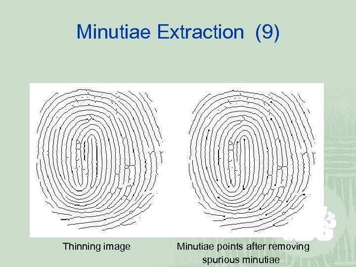 Minutiae Extraction (9) Thinning image Minutiae points after removing spurious minutiae 