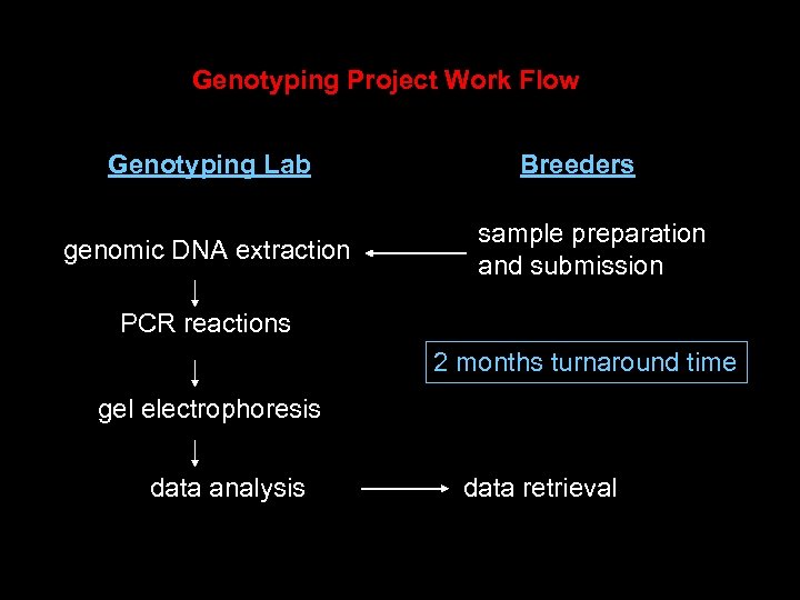 Genotyping Project Work Flow Genotyping Lab genomic DNA extraction Breeders sample preparation and submission