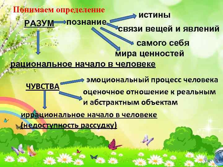 Понятой определение. Понять определение. Истина разума и истина чувств. Соотношения чувств и разума познания. Истина чувств.