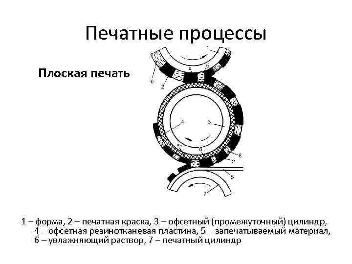 Печатные процессы Плоская печать 1 – форма, 2 – печатная краска, 3 – офсетный