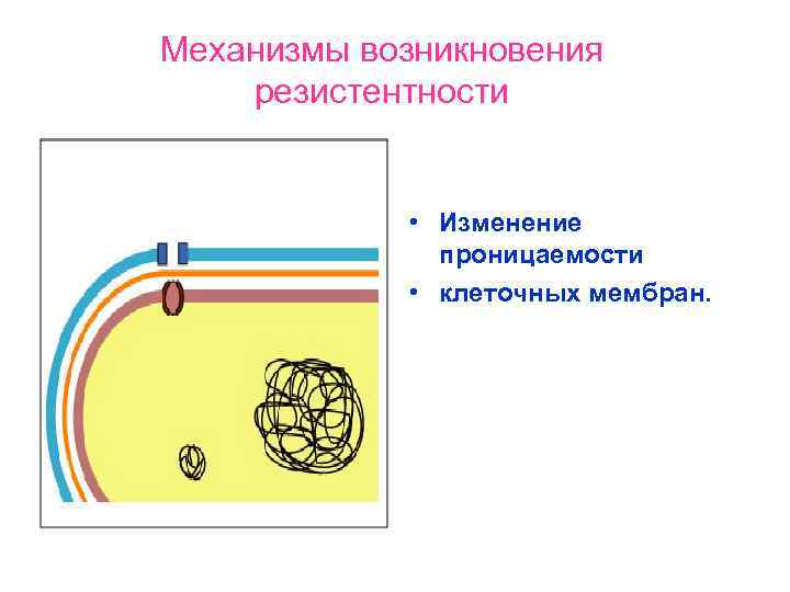 Проницаемость мембраны. Изменение проницаемости клеточных мембран. Повышение проницаемости клеточных мембран. Механизмы клеточной проницаемости. Нарушение проницаемости клеточных мембран.