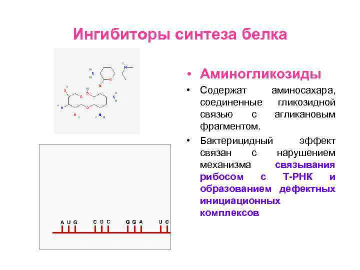 Механизмы нарушения синтеза белков