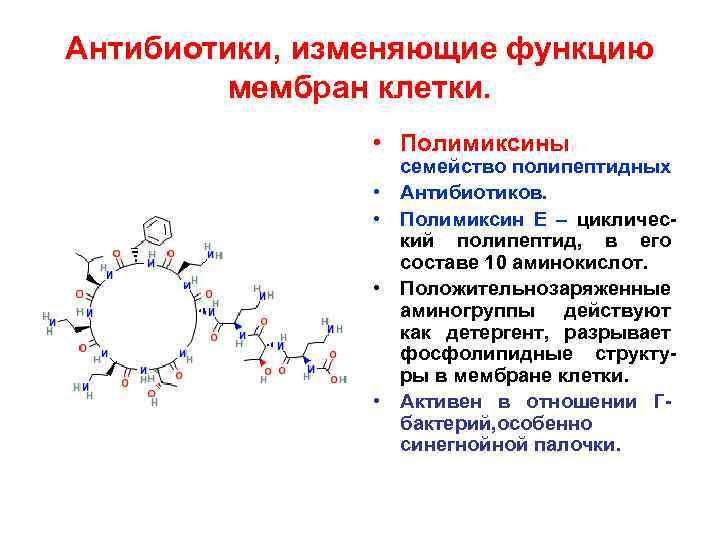 Антибиотики, изменяющие функцию мембран клетки. • Полимиксины • • семейство полипептидных Антибиотиков. Полимиксин Е