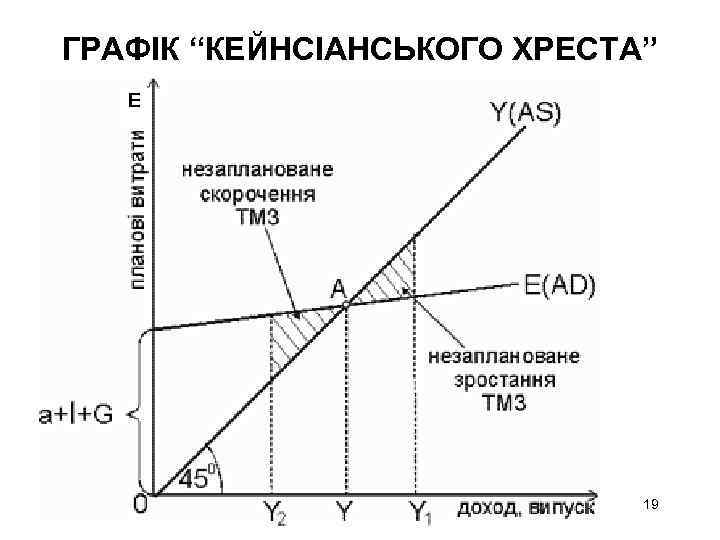 ГРАФІК “КЕЙНСІАНСЬКОГО ХРЕСТА” E 19 