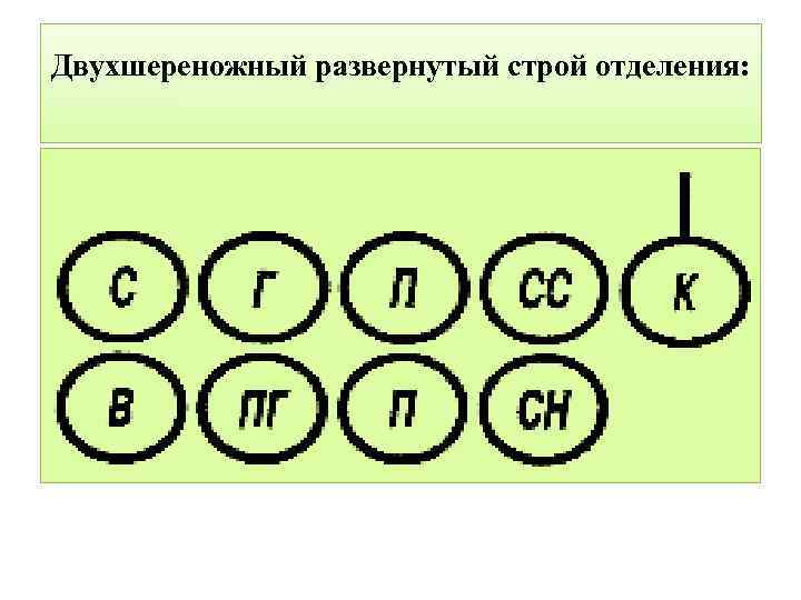 Двухшереножный развернутый строй отделения: 